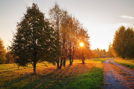 美丽的秋天风景公园的日落太图片