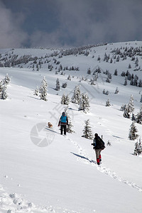 在白雪皑的冬山中徒步旅行图片