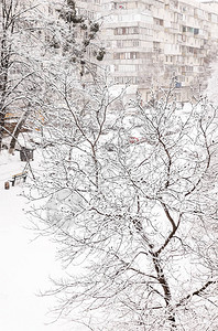 雪花下高楼建筑背景下的厚层积雪背景图片