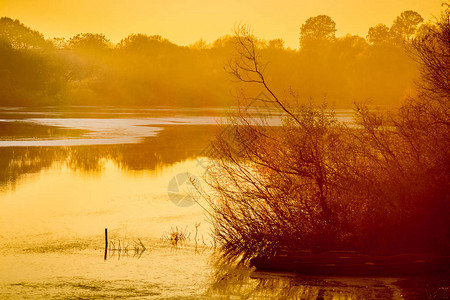 河边日落宁静的秋夜河流背景上的图片