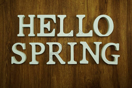 hello春季字母表带有木制背图片