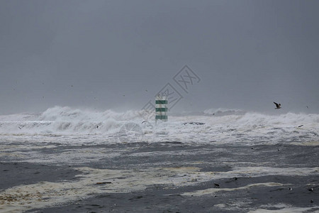 多罗河口北码头在暴风日以绿色信标向海水淹没图片