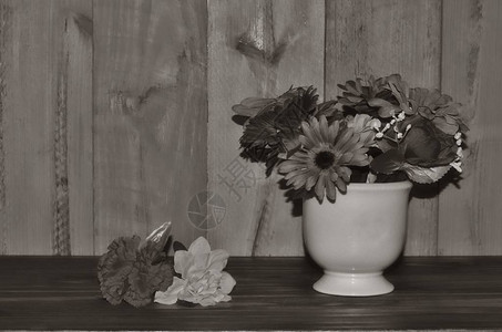 假花的黑白质朴图像图片