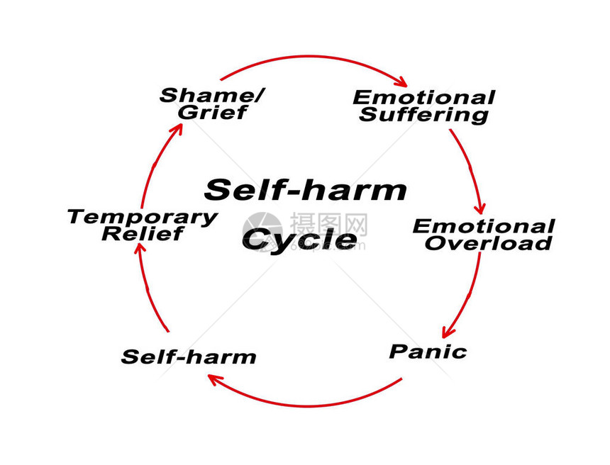 自伤循环的组成部分图片