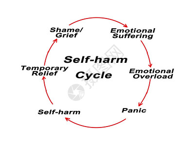 自伤循环的组成部分高清图片
