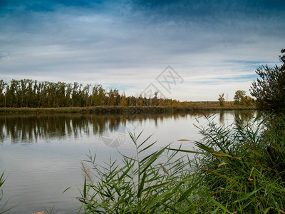 秋天水清凉的河流风景和水中树图片