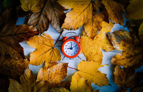 秋天枫叶上的老式闹钟图片
