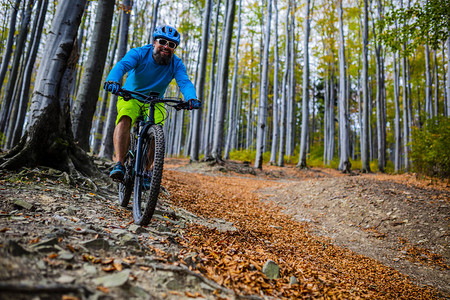 山地自行车骑自行车在秋天的山林景观男子骑自行车MTB流径赛道图片