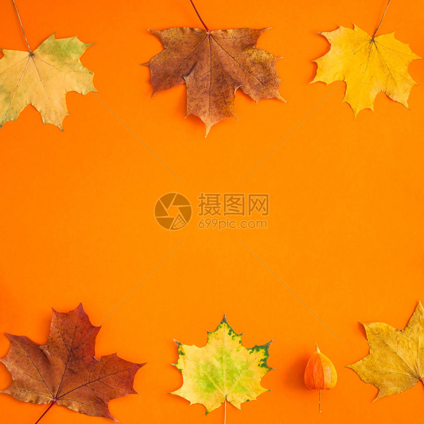 创意顶视图平躺秋季概念组合干亮秋叶橙色纸框背景复制空间方形模板拟秋季感恩节结婚图片