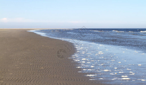 中午的海滩荷兰海岸图片