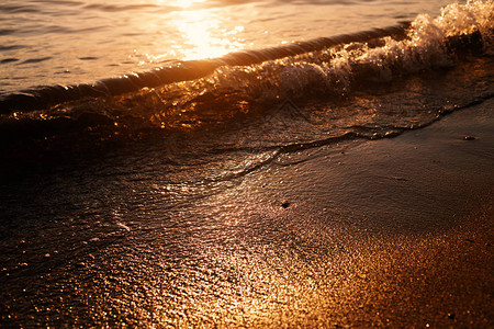 夕阳金海浪图片