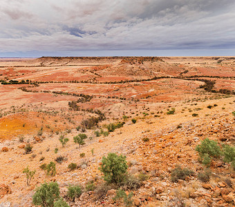 迪昂的LookoutBirdsvill高清图片