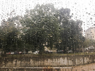 雨滴落在湿漉的窗户和行道树上图片