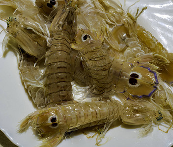 白色背景中的一组生鲜螳螂虾图片