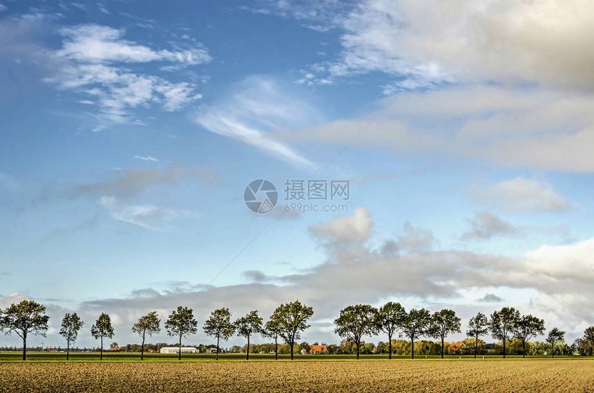 荷兰诺多奥斯托波尔德东北波尔得的树木田地和农场分布在平坦的景观上图片