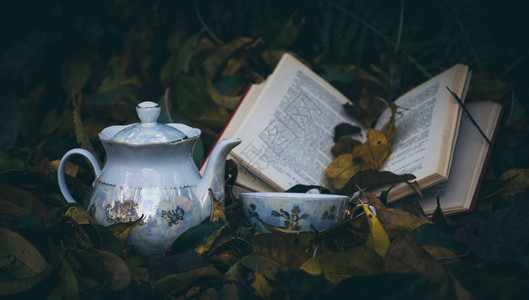 一杯热茶旧书和落叶图片