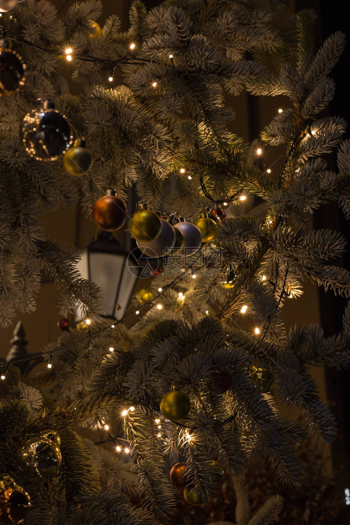 圣誕进世树和装饰品图片