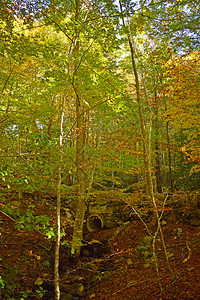 巴塞罗那ElMontseny自图片