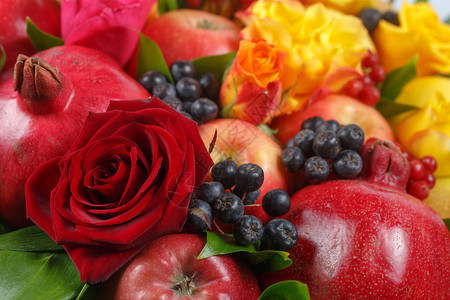 由石榴苹果黑花楸红荚梨柠檬和红黄玫瑰花组背景图片
