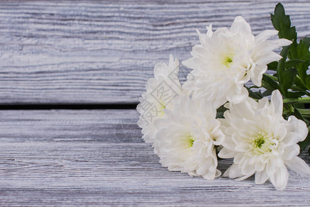 木质背景的白色菊花图片
