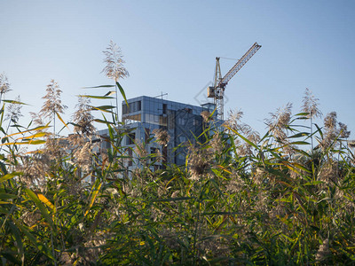 现代建筑的建造环保住宅的概念图片