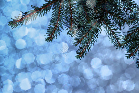 圣诞背景在蓝色闪发光的背景面前的Fi图片