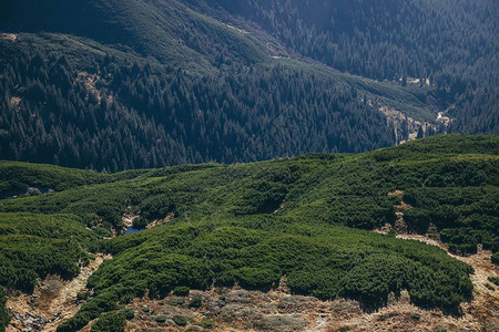 乌克兰喀尔巴阡山脉绿山地图片