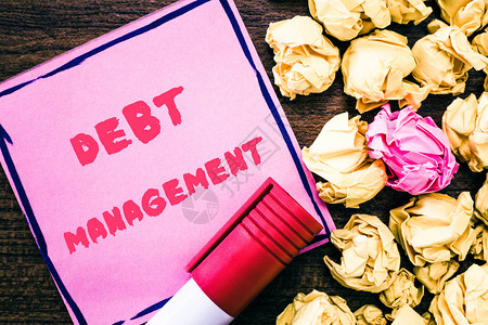 分项手写文本债务管理概念意义债务人和债权人之背景
