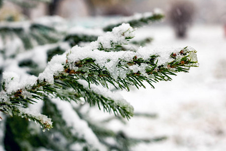 雪落在一个有复制空图片