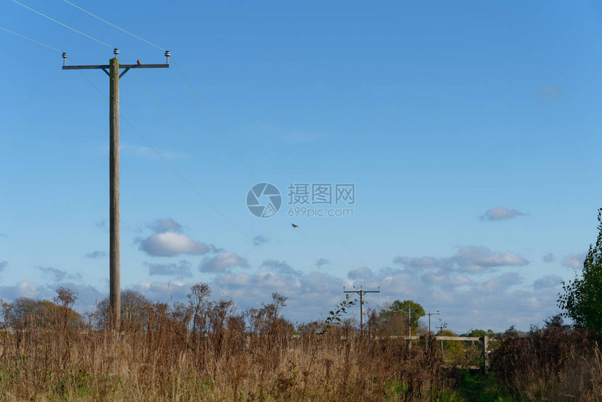 电线杆正在向林菲尔图片