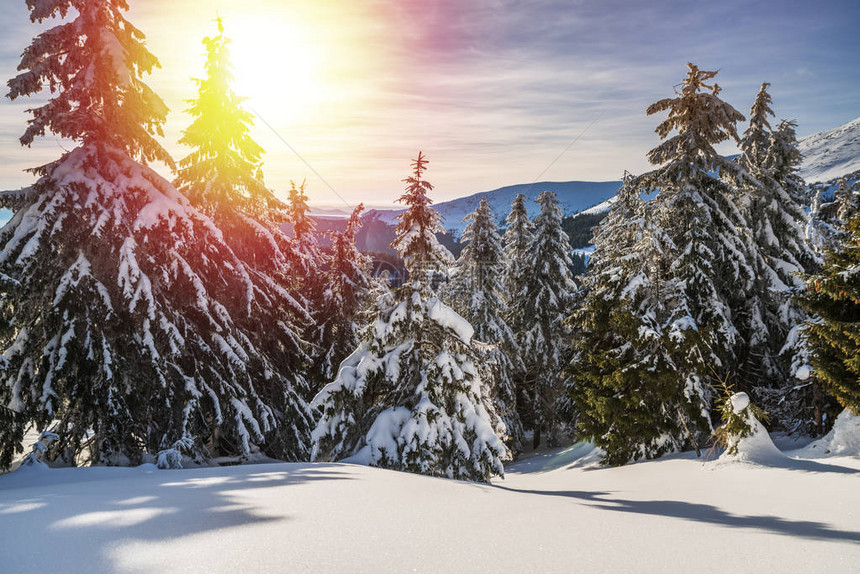 山上美丽的冬天风景山丘下大雪下图片