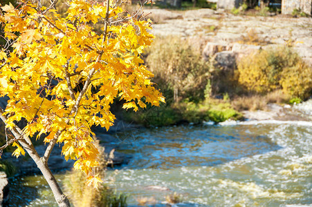 河流背景上的黄背景图片