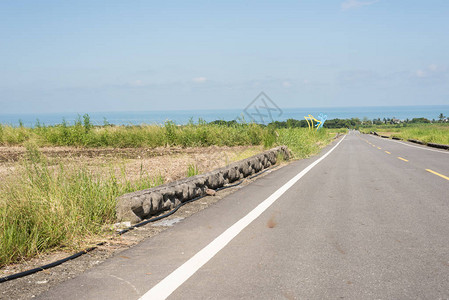 农村绿色稻田的道路图片