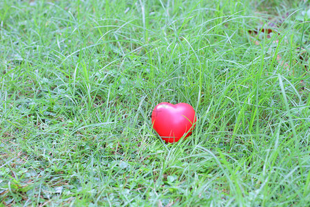 草地上的红心形状图片