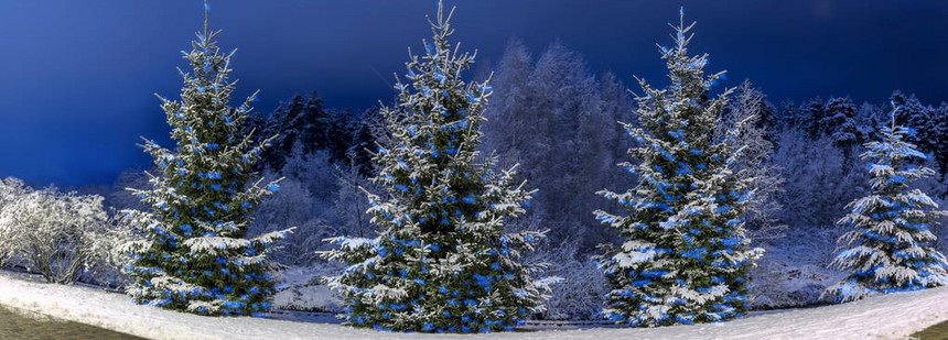圣诞树上装饰着灯光全景圣诞图片