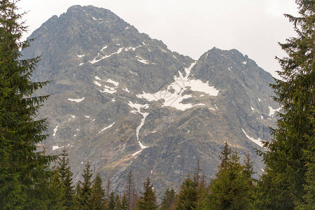 夏季山上永恒的雪图片