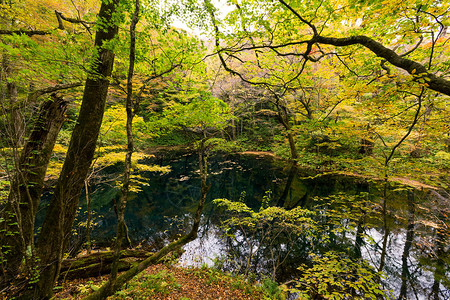秋季白天的湖池图片