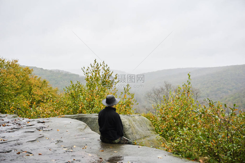 宾夕法尼亚山区的一块岩石俯瞰图片