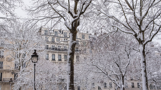 巴黎下雪之下冬天美丽图片