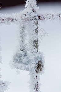 冬天结霜的篓子图片