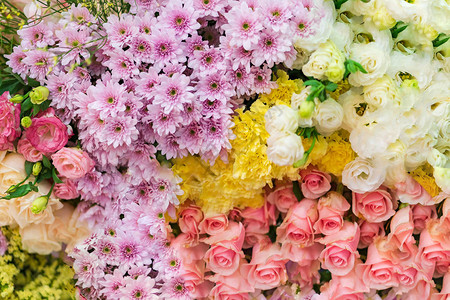 混合婚礼花多色花卉背景图片