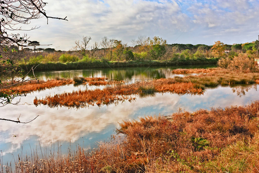 波三角洲公园湿地景观意大利海岸野生自然图片