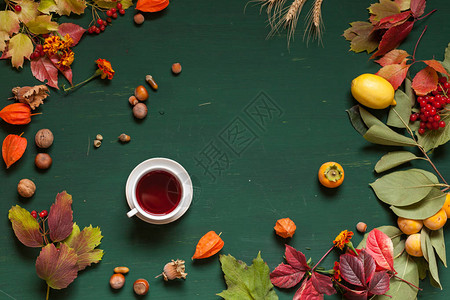 秋天黄色和红色叶子和果子绿色背景图片