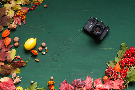 秋天黄色和红色叶子和果子绿色背景图片
