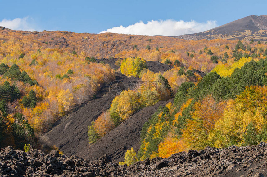在西锡尔埃特纳火山的秋季丰富多彩的图片
