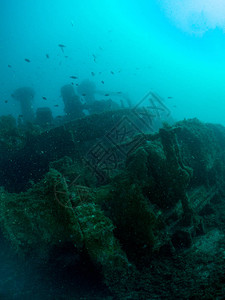 布拉瓦海岸的波拉斯沉船高清图片