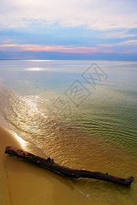 日落时在海滩上用浮木的海景图片