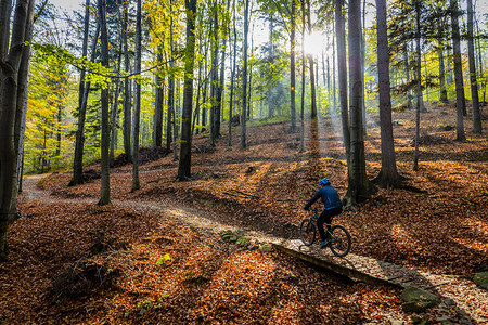 山地自行车骑自行车在秋天的山林景观男子骑自行车MTB流径赛道图片