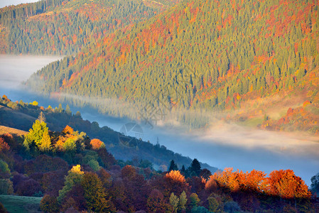 清晨阳光下美丽的秋天山脉风景图片