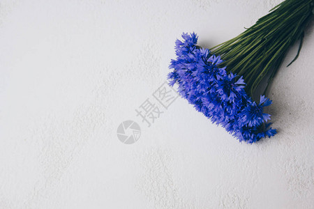 蓝色矢车菊花束图片